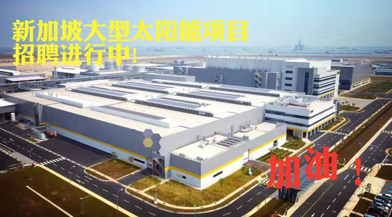新加坡大型太陽能男女操作工